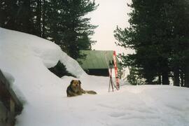 Rinner Kriegerkapelle mit &quot;Bello&quot; (Hund von Platzer Karl)