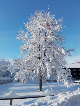 Winter in Judenstein 2021