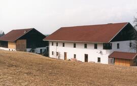 "Bestandsmann" Hof (Gapp Andreas *1924)