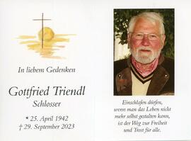 Triendl, Gottfried