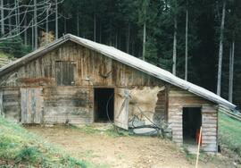 Stallgebäude auf der Rinner Alm