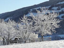Winter in Judenstein