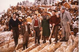 Holzarbeiten am Rinnerberg