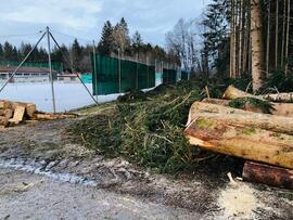 Abholzung beim Tennisplatz