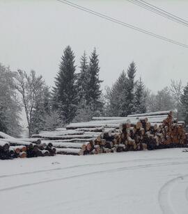 Holz am Weg nach Oberlavieren