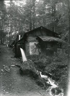 Wiesenhof Teufelsmühle gehörte zum Triednlhof ( Fam. Tiriendl)