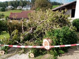 Föhnsturm Unwetter