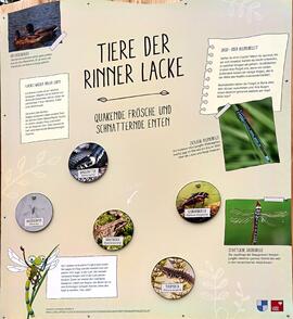 Info Tafel "Rinner Lacke"