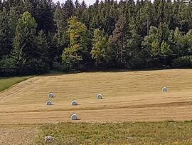 Heuernte (Heuballen)  im &quot;Hofer Stiegl&quot;