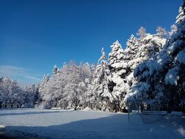Winter in Judenstein 2021