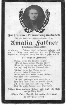 Falkner Amalia Tischlermeistersgattin 1897 - 1926