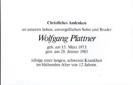 Plattner Wolfgang 1973 - 1985