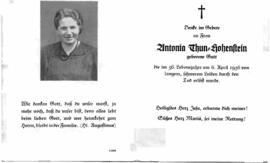Gatt Antonia verehel. Thun-Hohenstein 1900 - 1956