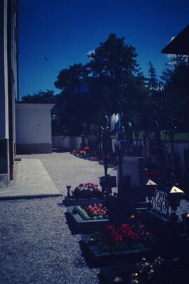Sanierung Unterer Friedhof 2008