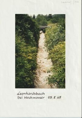 Leonhardsbach bei Hochwasser in Roppen