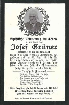 Grüner Josef, 1911