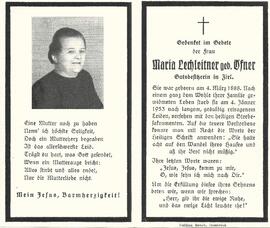 Lechleitner Maria, geb. Öfner, 1953
