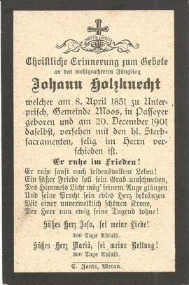 Holzknecht Johann, 1901
