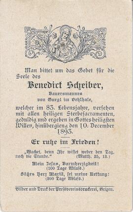 Scheiber Benedict, 1893