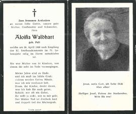 Waldhart Aloisia, geb. Pult, 1960