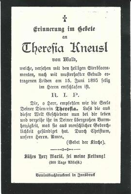 Kneusl Theresia, 1895