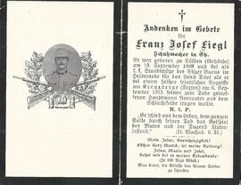 Fiegl Franz Josef, 1915