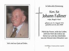 Falkner Johann KR, 2009