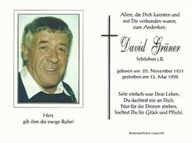 Grüner David, 1998