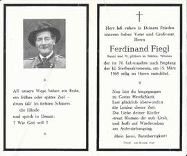 Fiegl Ferdinand, 1969