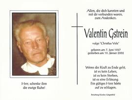 Gstrein Valentin, 2002