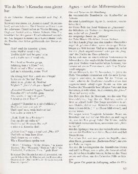 Das Schwoicher Dorfbuch, Seite 527