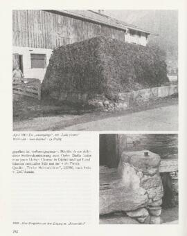 Das Schwoicher Dorfbuch, Seite 242