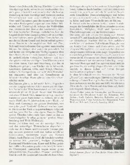 Das Schwoicher Dorfbuch, Seite 280