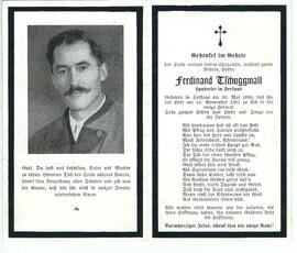 Ferdinand Tschuggmall 2