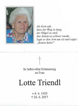 Lotte Triendl