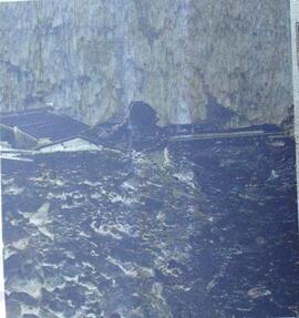 Pettneu Mure 1965 B 12 Bilder (4)