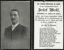 Wolf Josef Bauer Telfes