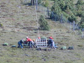 Forst-2008 (14)