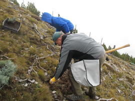 Forst-2008 (23)