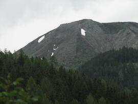 Forst-2008 (33)