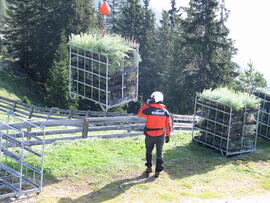 Forst-2008 (13)