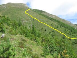 Forst-2008 (6)