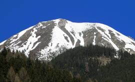 Forst-2008 (1)