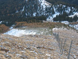 Forst-2007 (15)