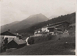 Gagers-Gustererhaus-Baumann-Sock