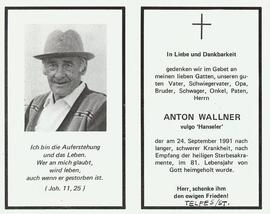 Wallner Anton vulgo Hanseler Telfes