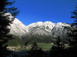 Forst-2009 (2)