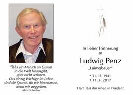 Penz  Ludwig  Ök-Rat  Luimesbauer  Telfes