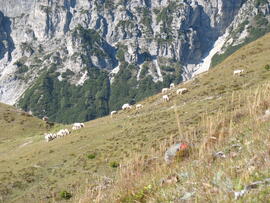 Forst-2008 (30)