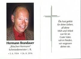 Brandauer Hermann vulgo Bitscher Fulpmes